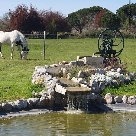 Bed and Breakfast Domaine Christanna Lisle-sur-Tarn Exterior foto