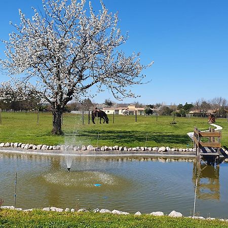 Bed and Breakfast Domaine Christanna Lisle-sur-Tarn Exterior foto