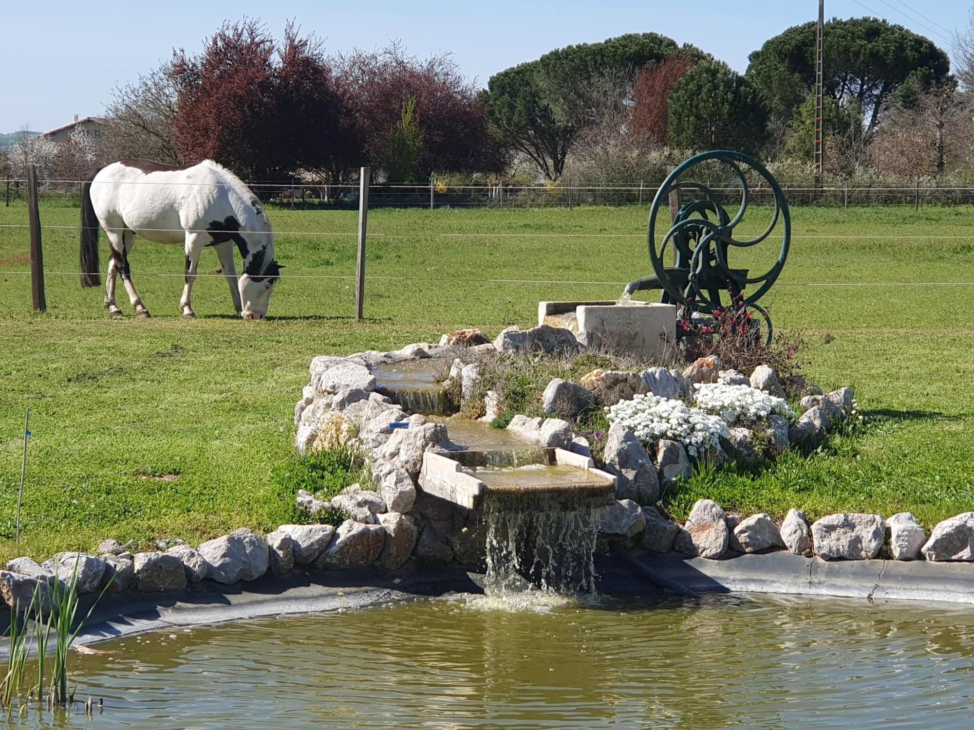 Bed and Breakfast Domaine Christanna Lisle-sur-Tarn Exterior foto
